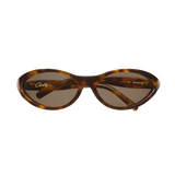 SPORTEIZ SUNGLASSES [TORTOISE]